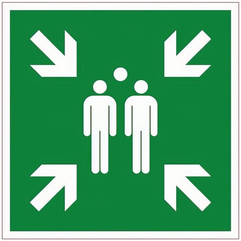 Signalétique Point De Rassemblement 350 mm - Adhésif autocollant