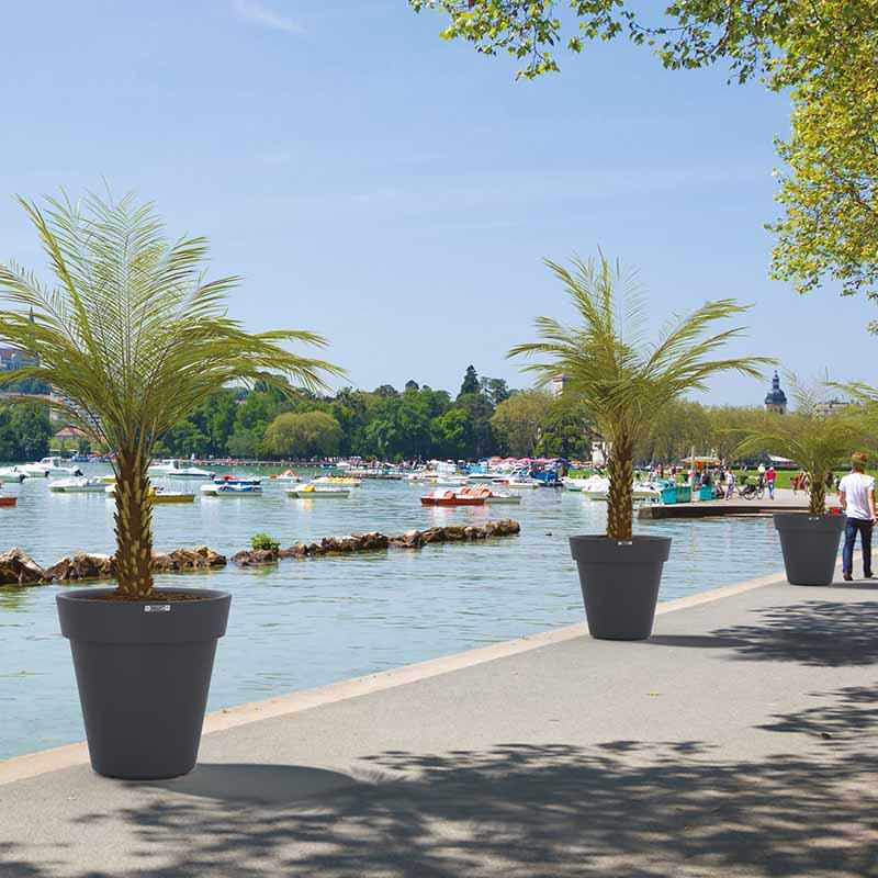 Pot urbain à plantes topiaire