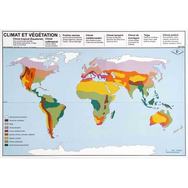 Carte éducative - Climat et végétation