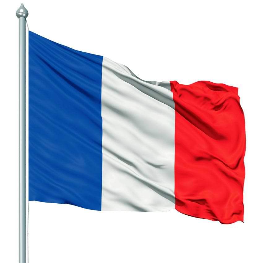 Pavillon français - 80 X 120 cm