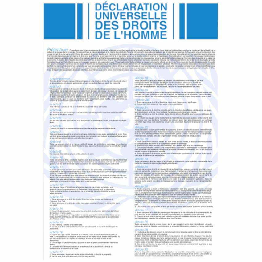 Plaque Déclaration universelle PVC A2 - 420 x 594 mm - Modèle ONU