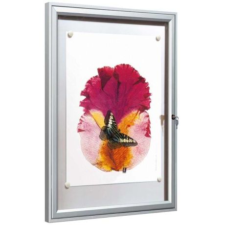 Vitrine murale intérieure anodisée