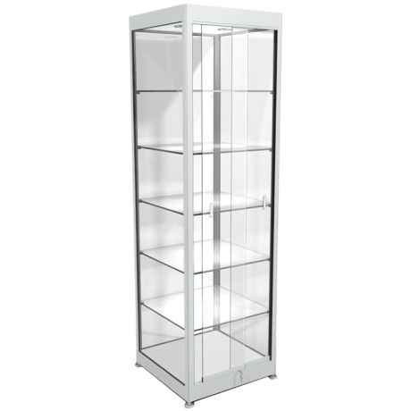 Vitrine de présentation haute - L 550 mm
