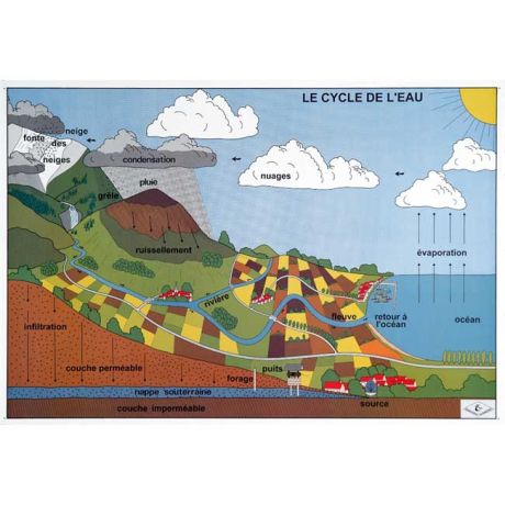 Planche 2 - Recto : Le cycle de l'eau