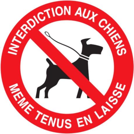 Panneau Interdit aux chiens même tenus en laisse