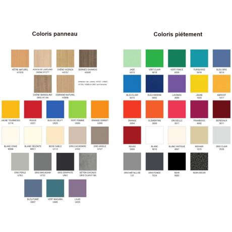 Coloris disponibles