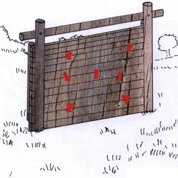 Parcours de santé : Module mur d'escalade