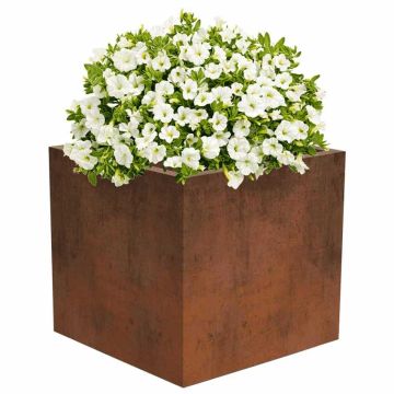 Bac à fleurs acier Corten