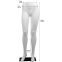 Jambes Femme
