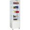 Vitrine réfrigérée positive 235L