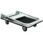 Chariot de manutention First 300 Kg