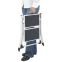 Marchepied pliant 2 marches Mini