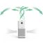 Purificateur d'air jusqu'à 300 m²