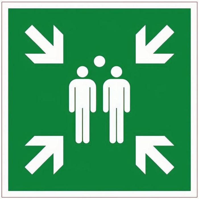 Signalétique Point De Rassemblement 350 mm