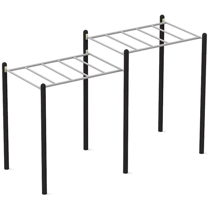 Street workout barres de suspension à 2 niveaux