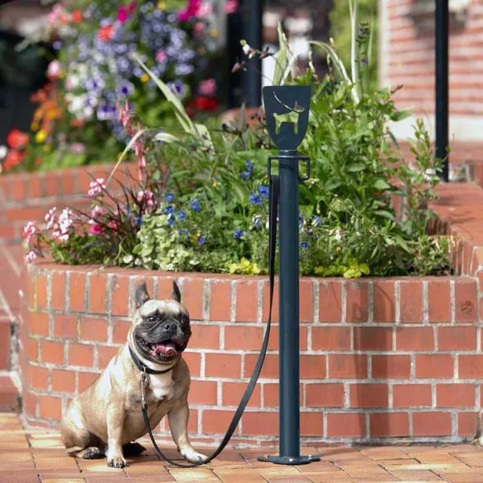 Poteau attache-laisse pour chien